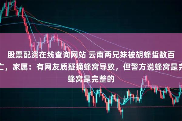 股票配资在线查询网站 云南两兄妹被胡蜂蜇数百次身亡，家属：有网友质疑捅蜂窝导致，但警方说蜂窝是完整的