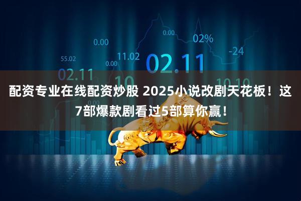 配资专业在线配资炒股 2025小说改剧天花板！这7部爆款剧看过5部算你赢！