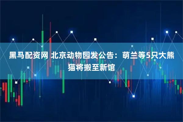 黑马配资网 北京动物园发公告：萌兰等5只大熊猫将搬至新馆