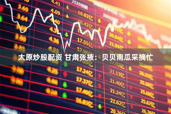 太原炒股配资 甘肃张掖：贝贝南瓜采摘忙
